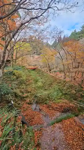 三千院門跡(京都府)