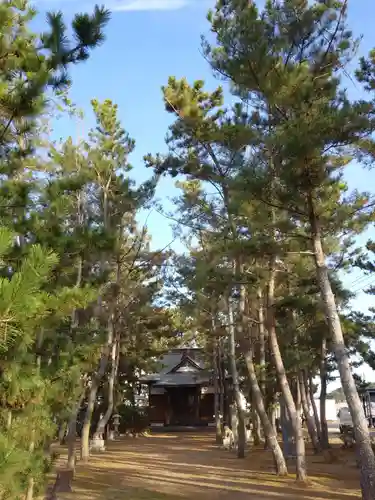 八坂神社の自然