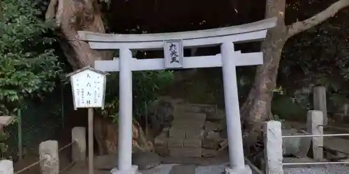 小動神社の鳥居