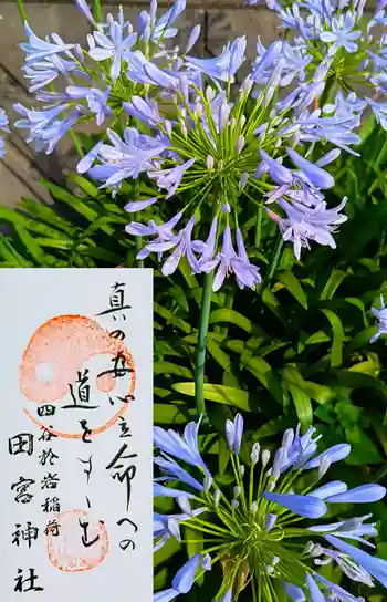 四谷於岩稲荷田宮神社の御朱印 2025年08月