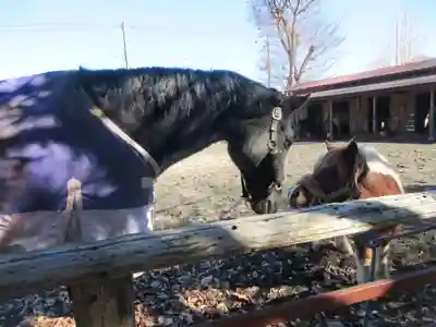 小室浅間神社(山梨県)
