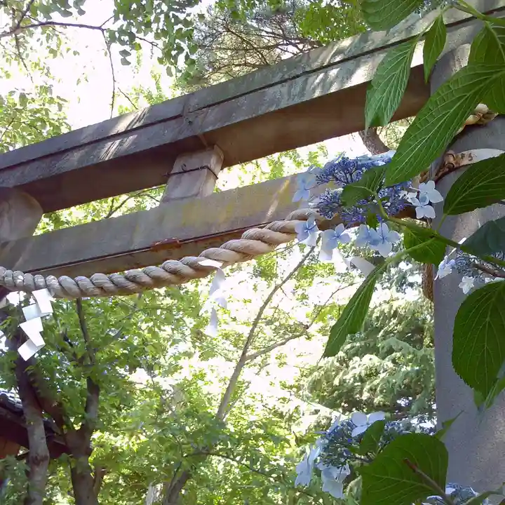 越谷香取神社の鳥居