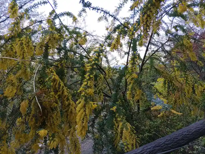 日龍峯寺(高澤観音)(美濃清水)(岐阜県)