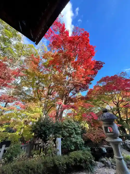 柳谷観音 楊谷寺 奥之院(京都府)