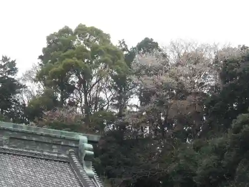 妙本寺のその他建物