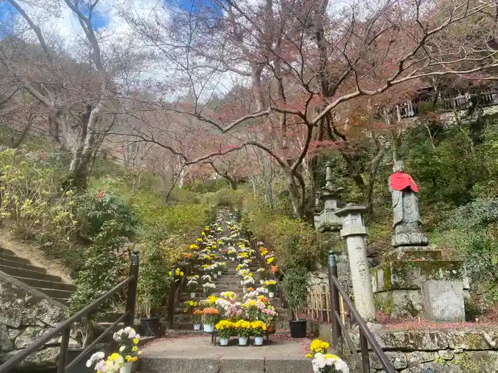 長谷寺(奈良県)