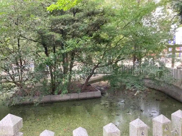 泊神社(兵庫県)