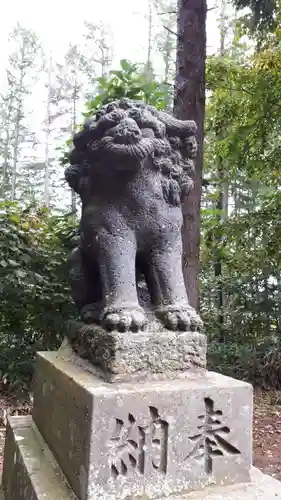 京極八幡神社の狛犬