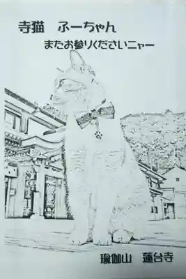 【令和四年三月二十一日参拝】蓮台寺の御朱印の挟み紙❓書き置きをお願いしたのですが、寺猫ふーちゃんの挟み紙を下さいました😄可愛いから、最初のページ横の御朱印を書かないページに貼らせて頂いてます。