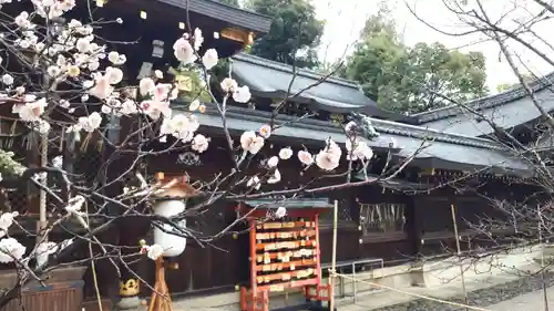 今宮神社(京都府)