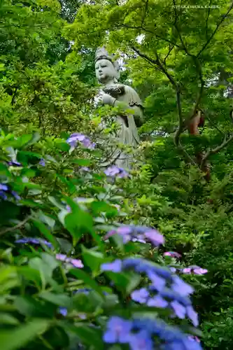 高幡不動尊　金剛寺の仏像