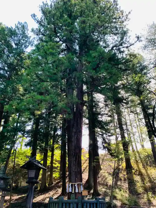 諏訪大社下社春宮(長野県)