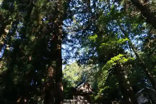 鹿島大神宮の景色