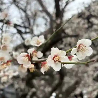 興正寺(京都府)
