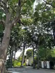 星川杉山神社の建物その他