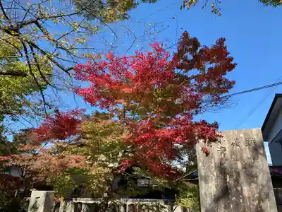 篠座神社の自然
