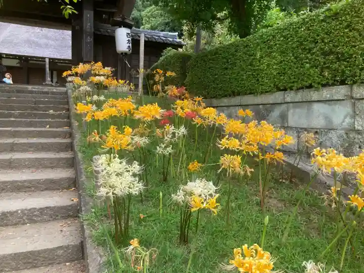 横浜 西方寺(神奈川県)
