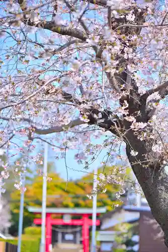 川和八幡神社(神奈川県)