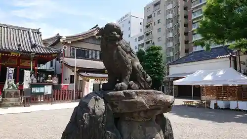 浅草神社の狛犬