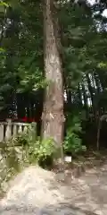 八大神社(京都府)