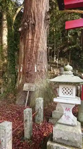 菅東山出世稲荷神社のその他建物