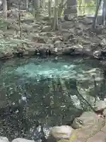 泉神社(茨城県)