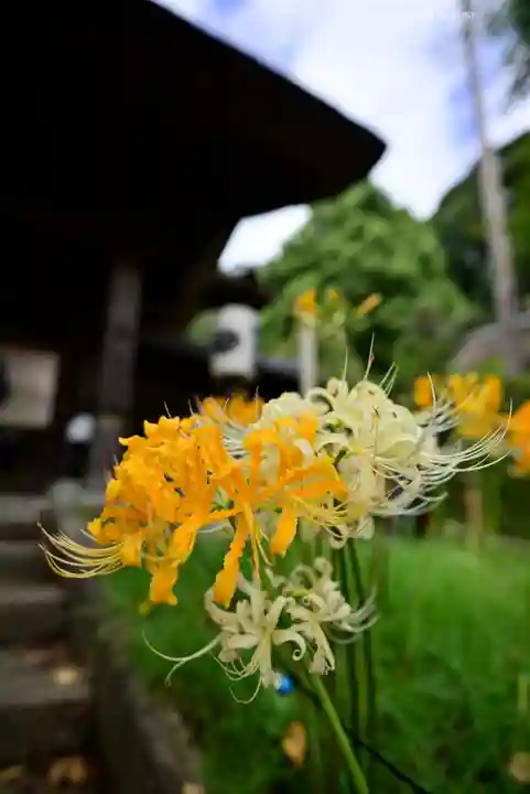 横浜 西方寺(神奈川県)