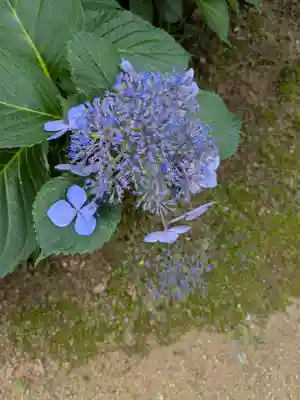 飛騨国分寺(岐阜県)