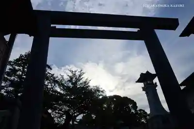 伊勢山皇大神宮の鳥居