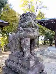 冠者神社の狛犬