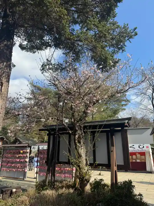 櫻木神社(千葉県)