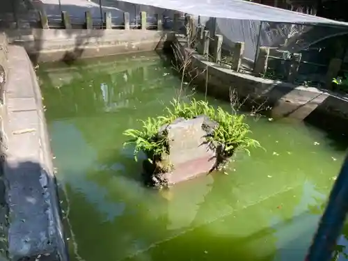 海南神社(神奈川県)