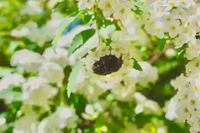 海龍王寺(奈良県)