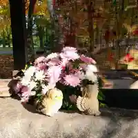 彌彦神社 (伊夜日子神社)の手水舎