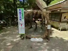 磐船神社の建物その他