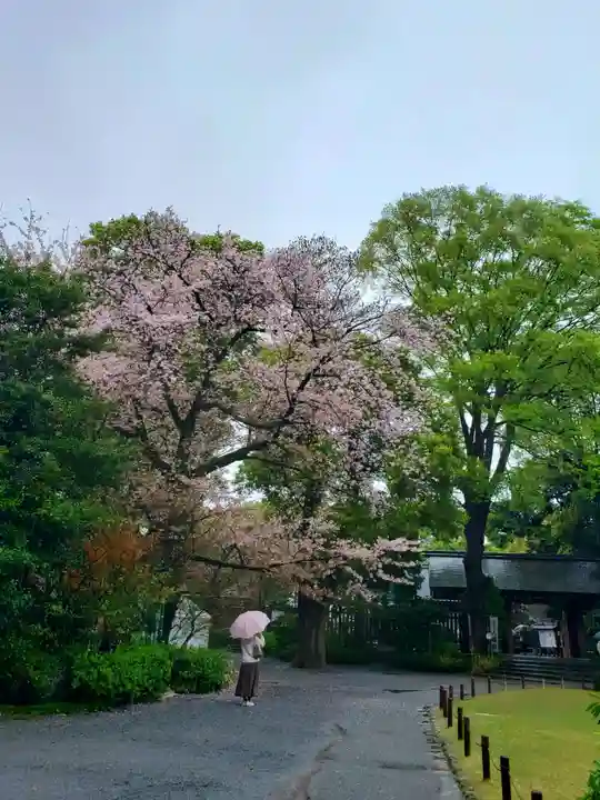 阿佐ヶ谷神明宮(東京都)