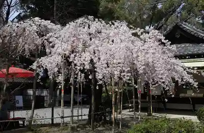 水無瀬神宮(大阪府)