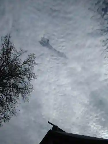 櫻木神社(千葉県)