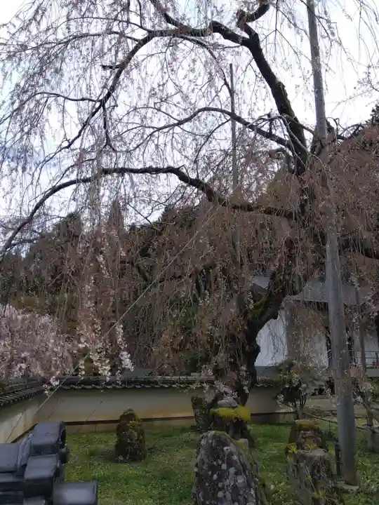 福徳寺(京都府)