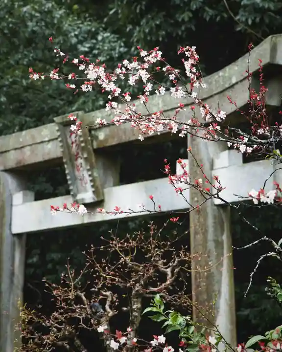 大聖寺(土浦大師不動尊)(茨城県)