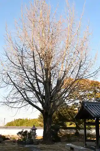 萬年山保国寺(愛媛県)