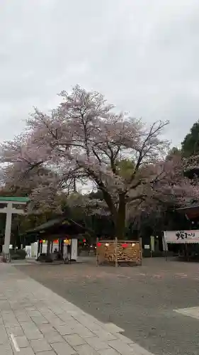 出雲大社相模分祠の{uncategorized: "未分類", other: "その他", undefined: "問題あり", building: "その他建物", grave: "お墓", sacred_gate: "鳥居", guardian: "狛犬", statue: "像", buddha: "仏像", history: "歴史", nature: "自然", garden: "庭園", animal: "動物", pagoda: "塔", temizu: "手水舎", mountain_gate: "山門・神門", sanctuary: "本殿・本堂", subordinate: "末社・摂社", art: "芸術", scenery: "景色", jizo: "地蔵", ema: "絵馬", goshuin: "御朱印", omikuji: "おみくじ", items: "授与品その他", amulet: "お守り", goshuincho: "御朱印帳", eats: "食事", festival: "お祭り", votive_dance: "神楽", shichigosan: "七五三参", wedding: "結婚式", experience: "体験その他", initially: "初詣", around: "周辺", anti_infection: "感染症対策"}