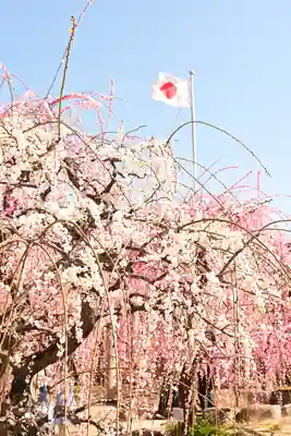 防府天満宮(山口県)