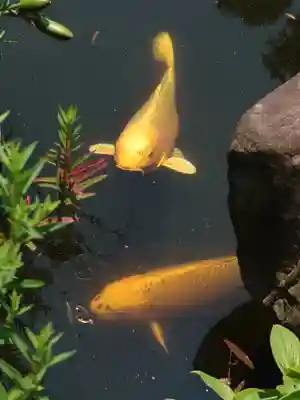 宇賀神社(神奈川県)