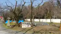 平野神社の建物その他