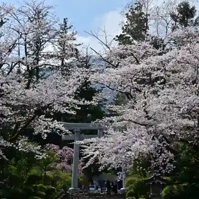 彌彦神社(新潟県)