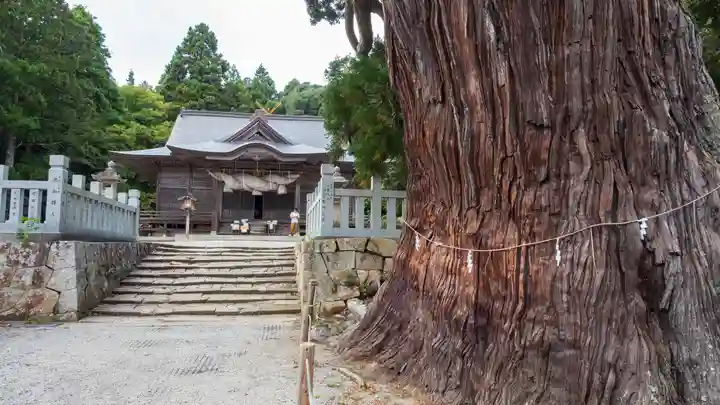 玉若酢命神社の自然