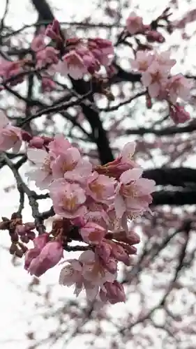 知恩院(京都府)