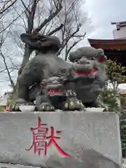 清瀧神社の狛犬