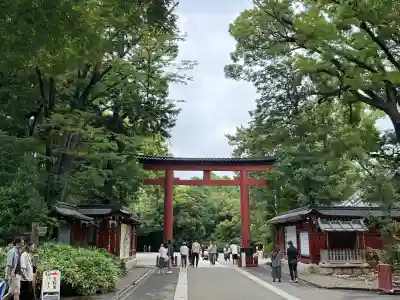 武蔵一宮氷川神社(埼玉県)